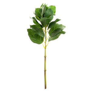 Hoja de hortensia
