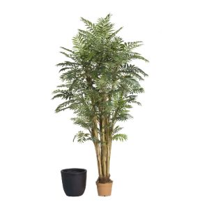 PALMERA 17138