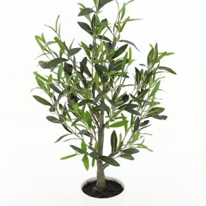 Mini olivo 20719