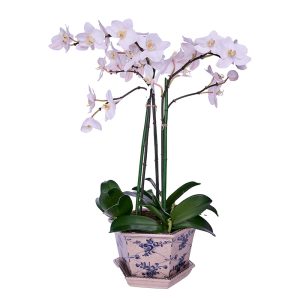 Arreglo de Orquídeas Blancas Sintéticas - A