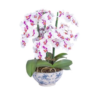 Orquídea 3 Blanca - Violeta
