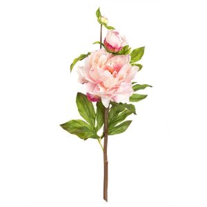 Flores Peonias Artificiales Realistas - Real Touch 5