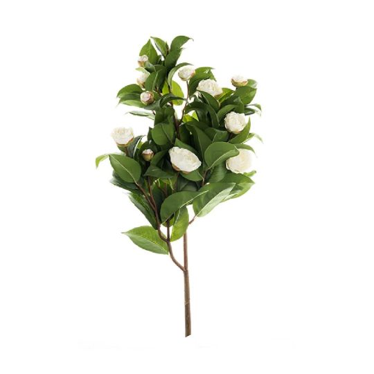 camelia-5.jpg