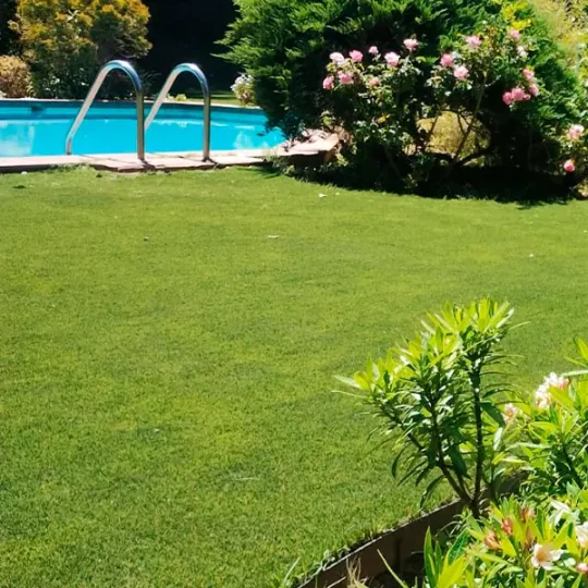 gardenexpress-productos-pastos-sinteticos-yellowstone-stone-sedge-1-v00