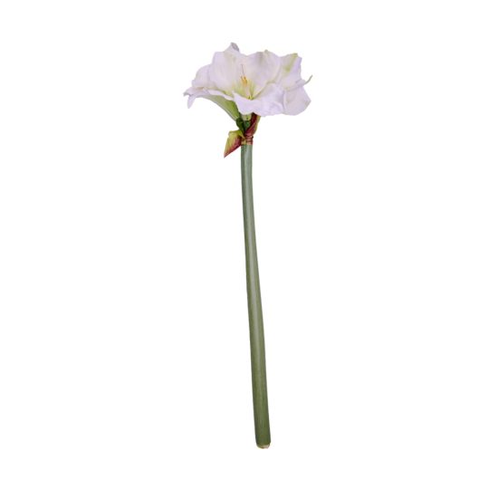 gardenexpress1383.jpg
