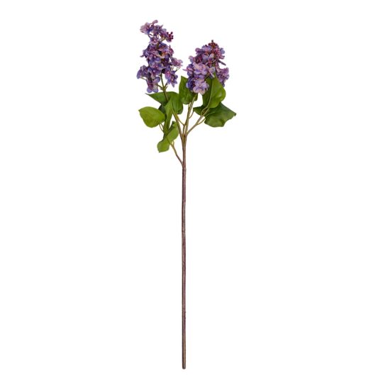 gardenexpress1392.jpg