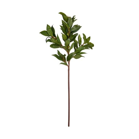 gardenexpress1396.jpg