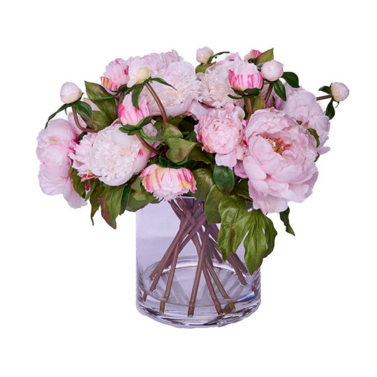 gardenexpress1405.jpg