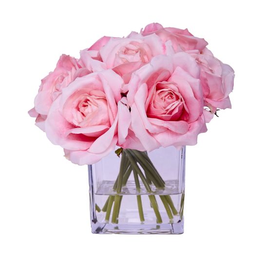 gardenexpress1424.jpg