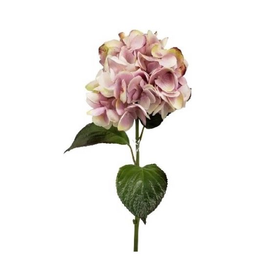 hortensia-lila-1.jpg