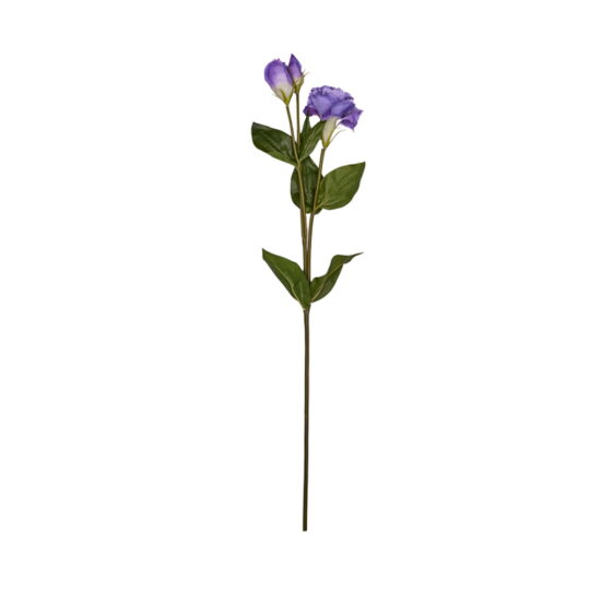 lisiantusgardenexpress.jpg