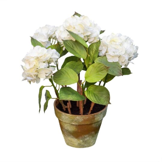 maceta-hortensias-blanca-scaled-1.jpg