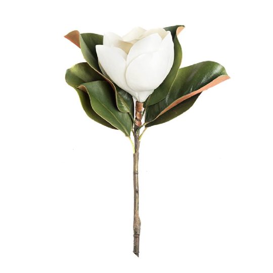 magnolio-9.jpg
